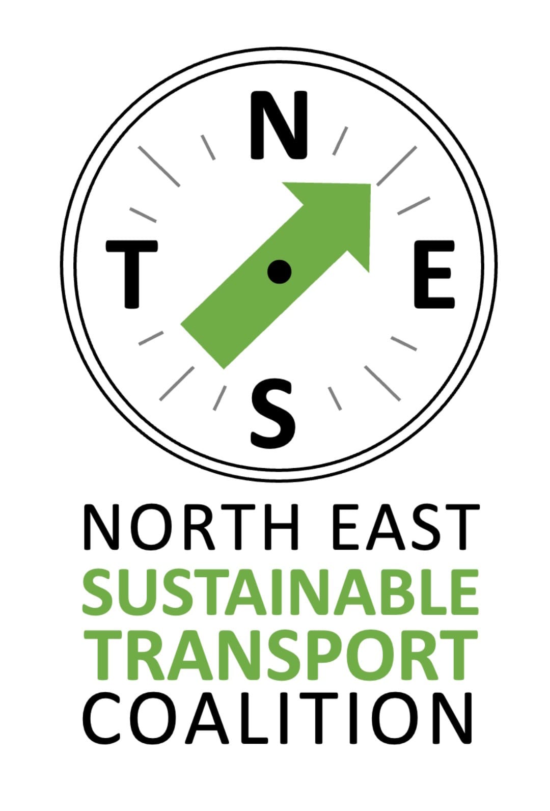 NEST logo